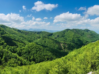 pohľad z vyhliadky pod Rohatou skalou