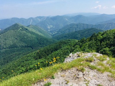 Malá Fatra z Ostrej skaly