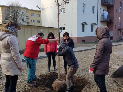 MC MIMČO Ladce a projekt DM Spoločne 2019