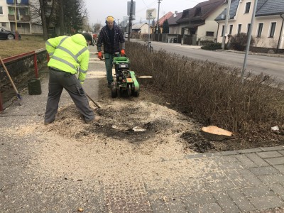 A takto vyzerala príprava na sadenie