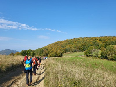 Cestou z Rohatej skaly